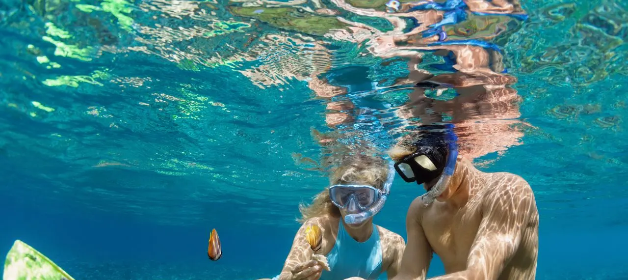 A couple snorkelling together in clear shallow water