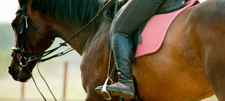 Close-up of a rider's tall black boot in the stirrup of a brown horse with a pink saddle pad