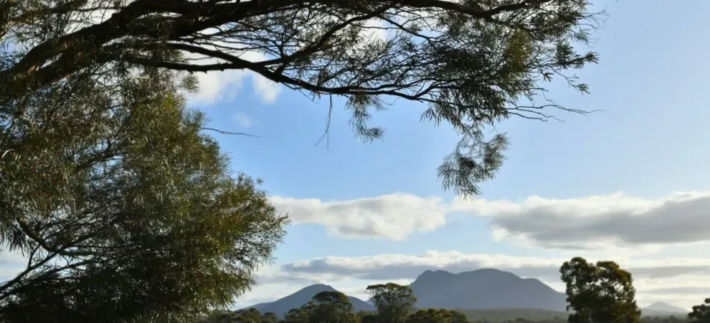 Distant peaks of the Stirling Range across a green field, framed by tree branches