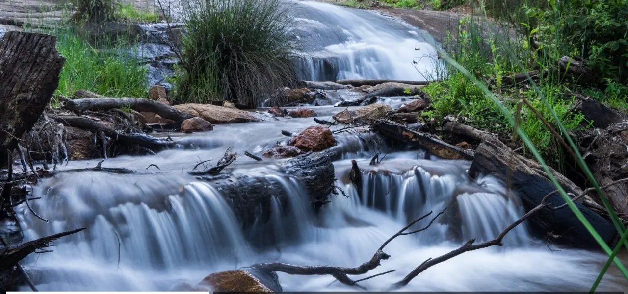 A cascading stream flowing over rocks and fallen branches in Lane Poole Reserve