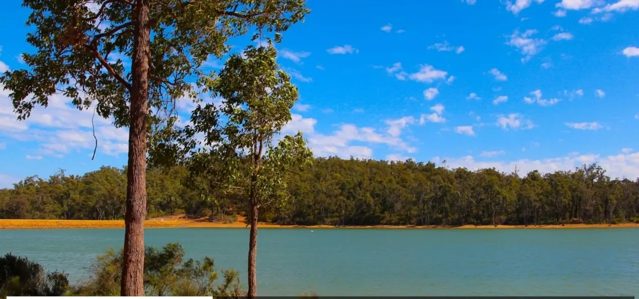 The turquoise waters of Wellington Dam backed by forest in Wellington National Park