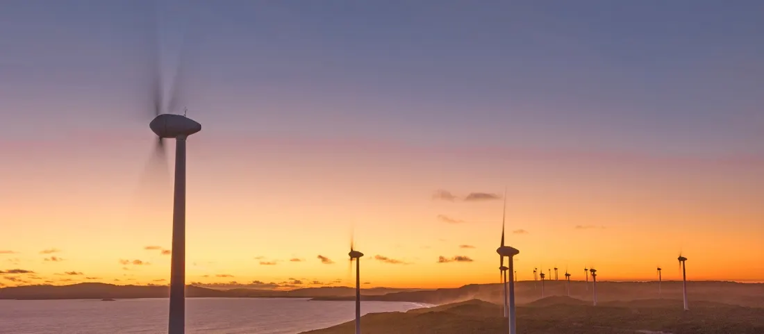 Wind turbines above the coastline at the Albany Wind Farm at dusk