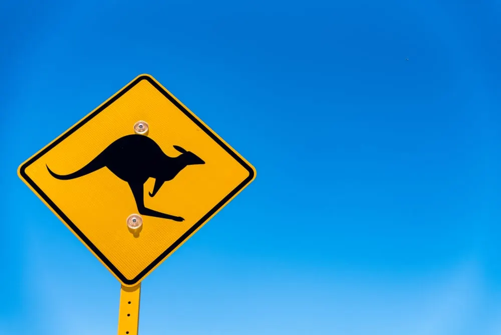 A diamond-shaped yellow kangaroo crossing road sign on a Great Southern country road