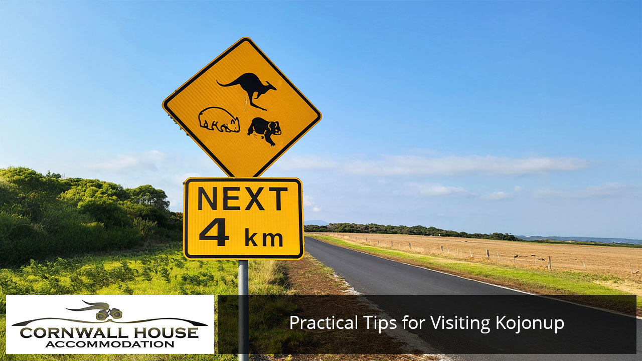 Australian wildlife warning road sign along Albany Highway near Kojonup