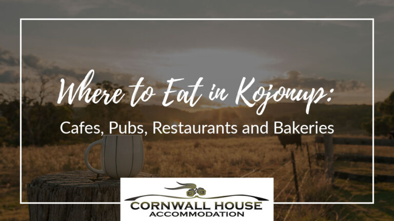 Blog - Accommodation,House Accommodation,Cornwall House Accommodation,Motel Accommodation A ceramic coffee mug resting on a rustic wooden fence post with a hazy sunrise over a grassy country pasture.
