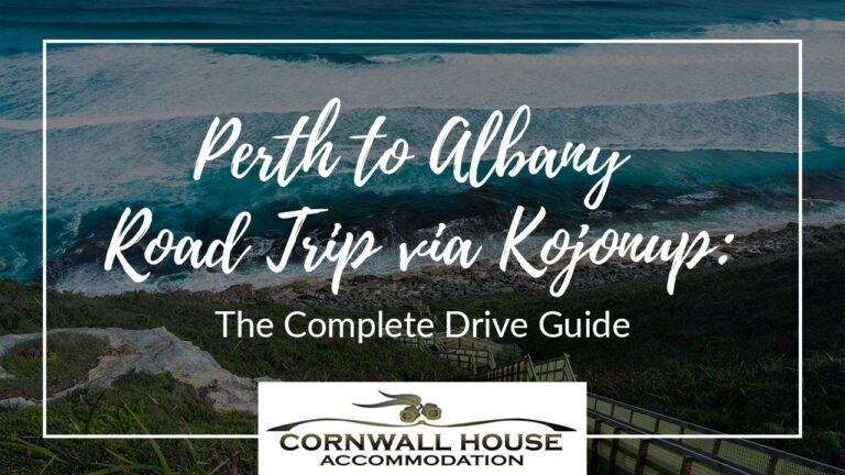 Blog - Accommodation,House Accommodation,Cornwall House Accommodation,Motel Accommodation A wooden boardwalk and stairs descending a green coastal cliff toward a rocky shoreline with crashing turquoise ocean waves.