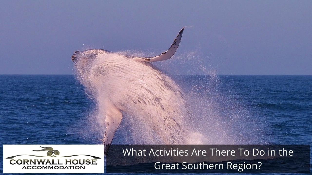 Tips for Travelling Around the Great Southern Region in Winter - Great Southern Region What Activities Are There To Do in the Great Southern Region