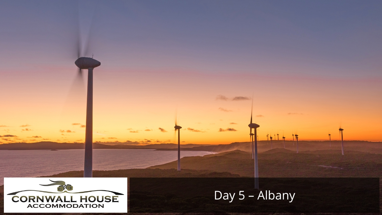 Day 5 Albany