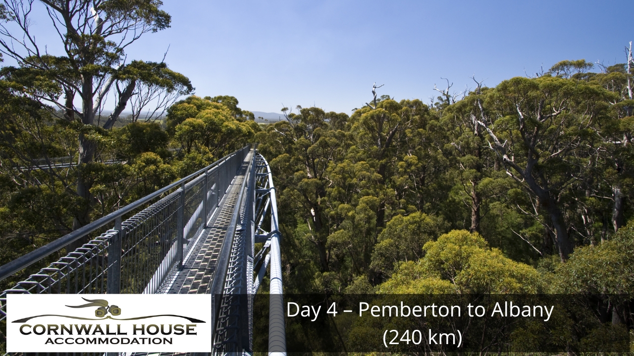 Pemberton to Albany
