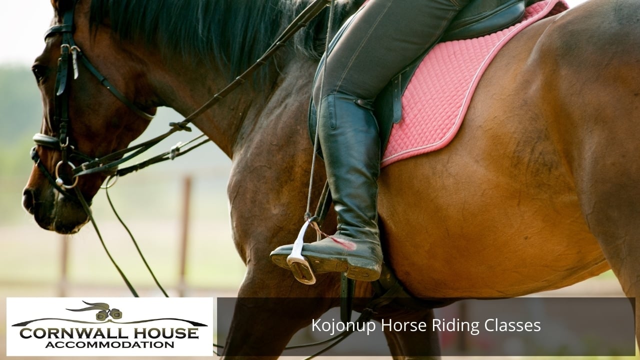 Horse Riding in Kojonup - Horse Riding Kojonup Horse Riding Classes