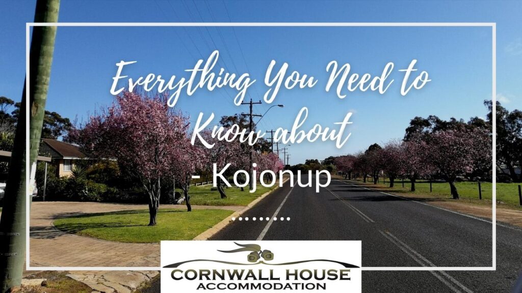 Everything You Need to Know about Kojonup