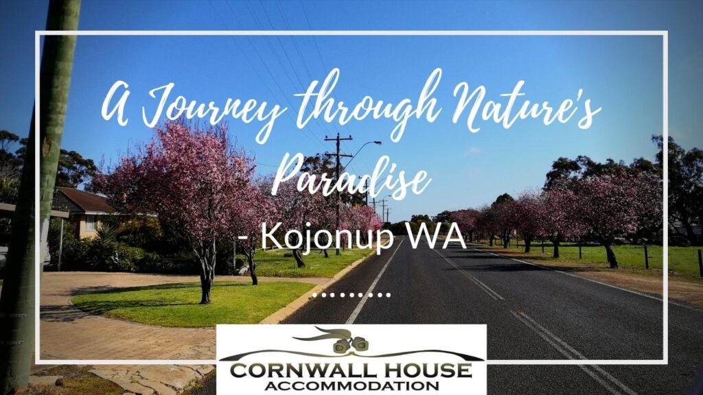 A Journey through Nature's Paradise
