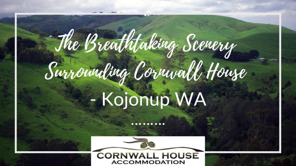 The Breathtaking Scenery Surrounding Cornwall House