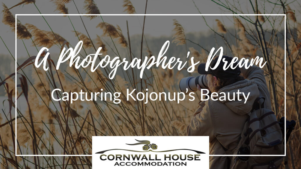 Photographer with camera hiding behind reeds at lake taking pictures of wildlife