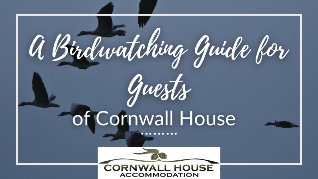 A Birdwatching Guide for Guests of Cornwall House
