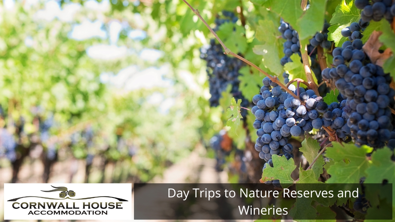 Day Trips to Nature Reserves and Wineries
