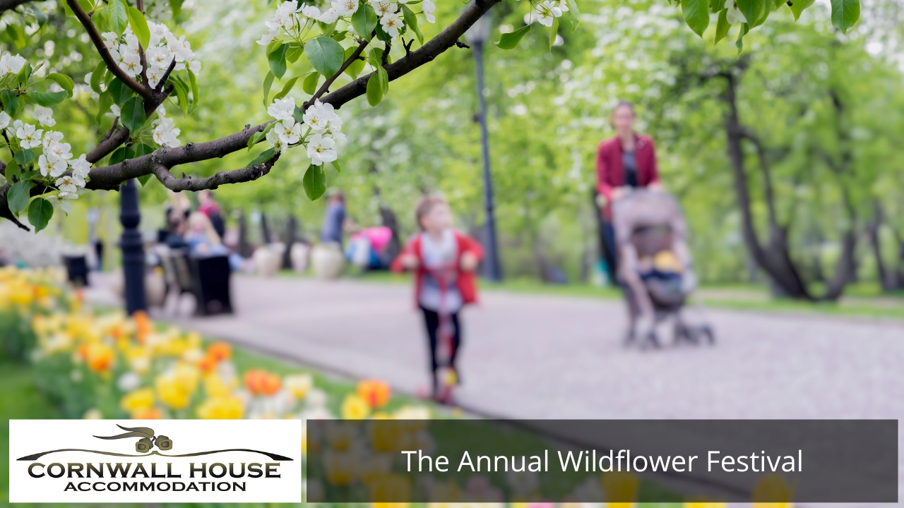 Which Events in Southern WA Are Worth Travelling For - Southern WA The Annual Wildflower Festival