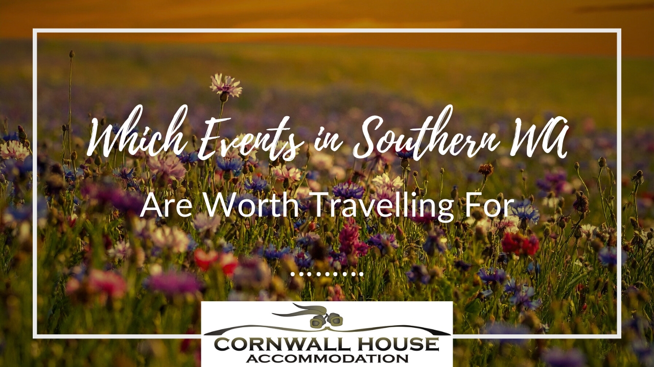 Which Events in Southern WA Are Worth Travelling For