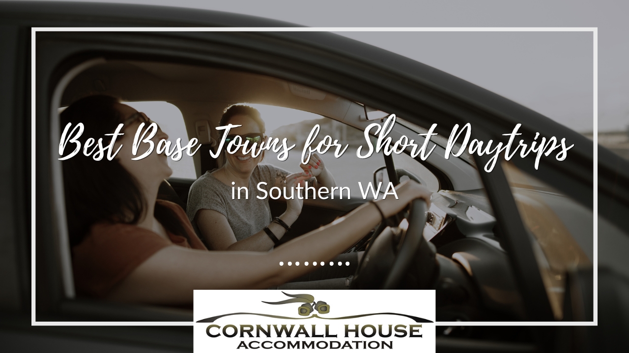 Two women laughing in a car during a short trip in Southern WA town