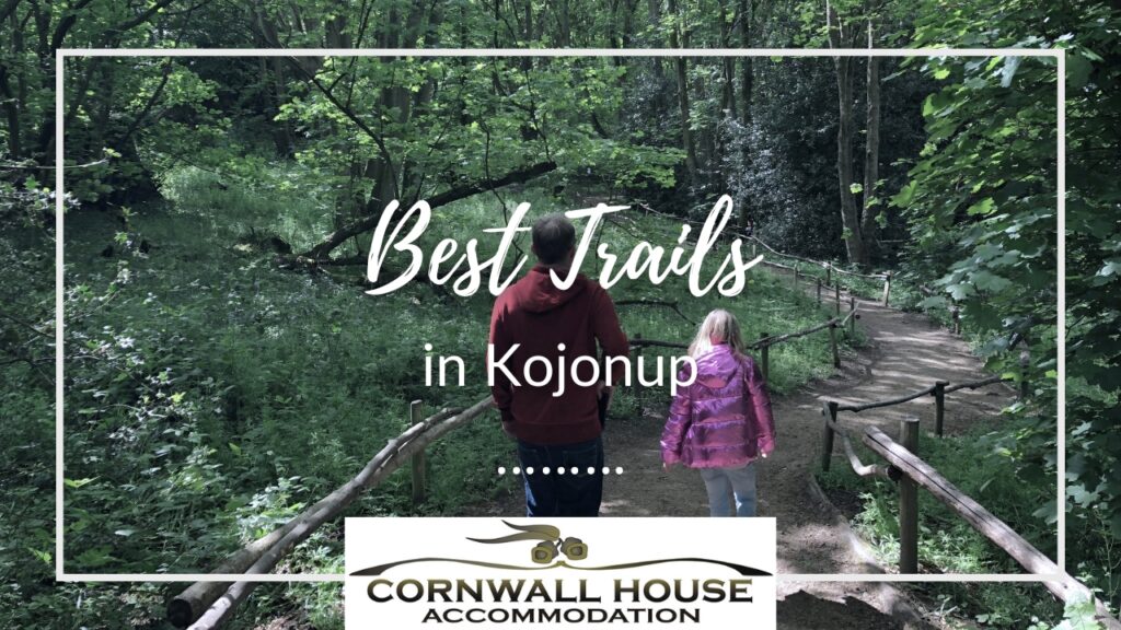 A view from behind of a man in a red hoodie and a young girl in a shiny pink jacket walking down a dirt path framed by rustic wooden railings.