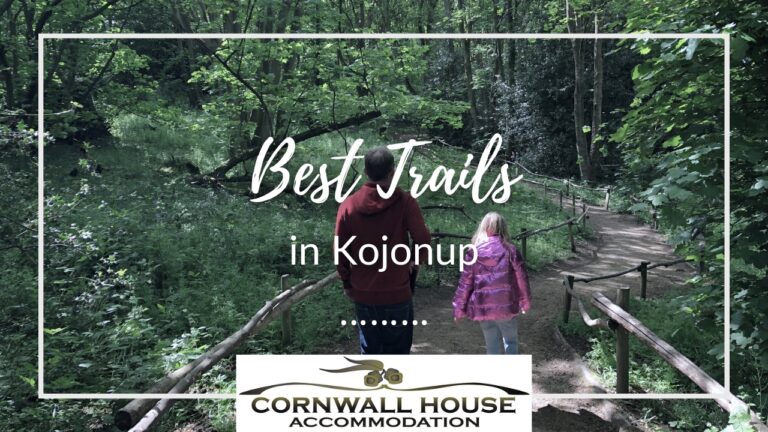Blog - Accommodation,House Accommodation,Cornwall House Accommodation,Motel Accommodation A view from behind of a man in a red hoodie and a young girl in a shiny pink jacket walking down a dirt path framed by rustic wooden railings.