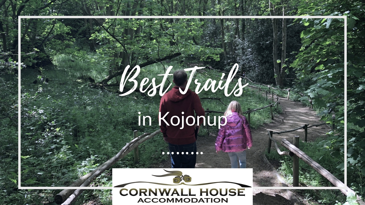 A view from behind of a man in a red hoodie and a young girl in a shiny pink jacket walking down a dirt path framed by rustic wooden railings.